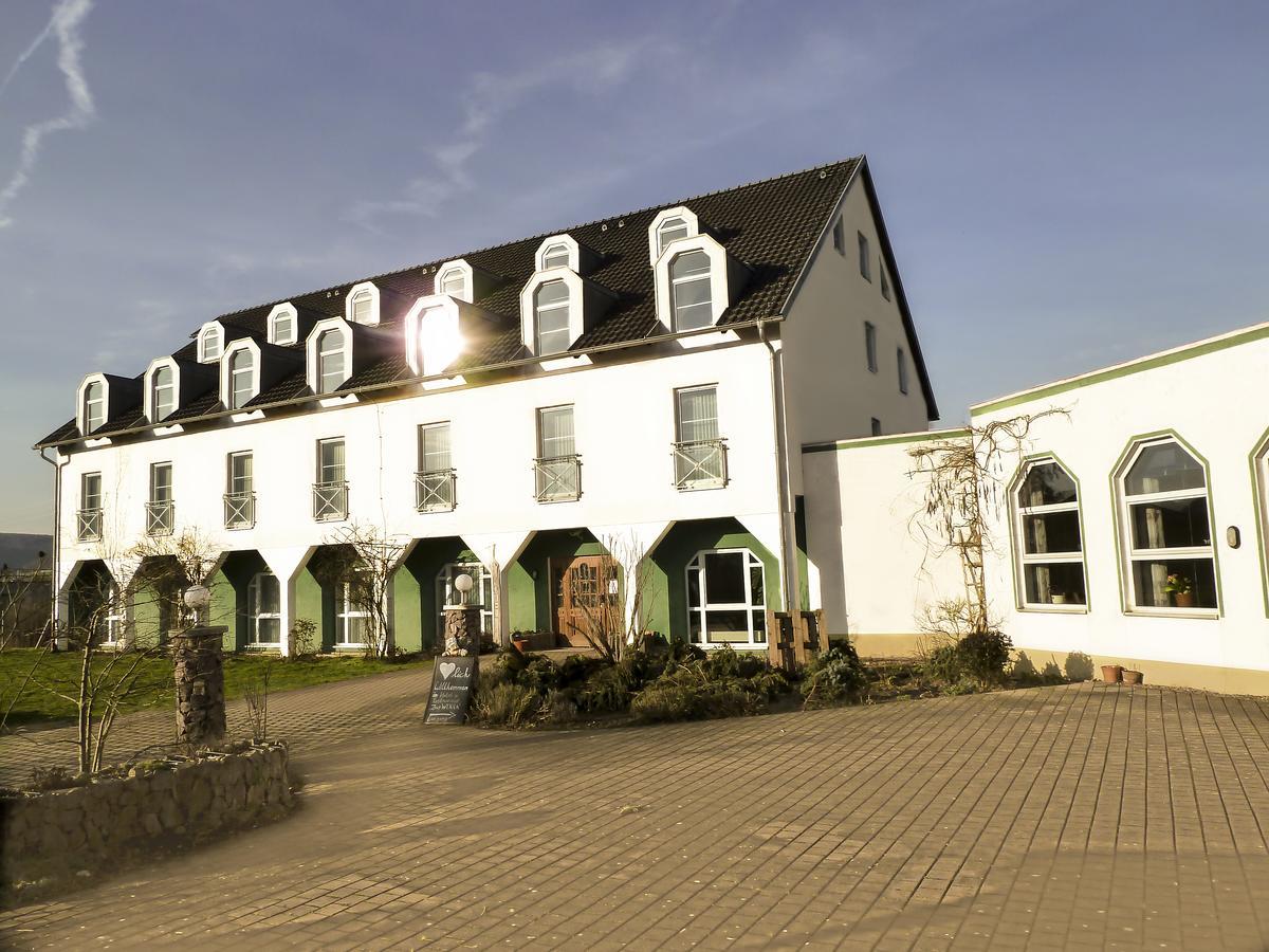 Hotel Zur Werra Schmalkalden Εξωτερικό φωτογραφία